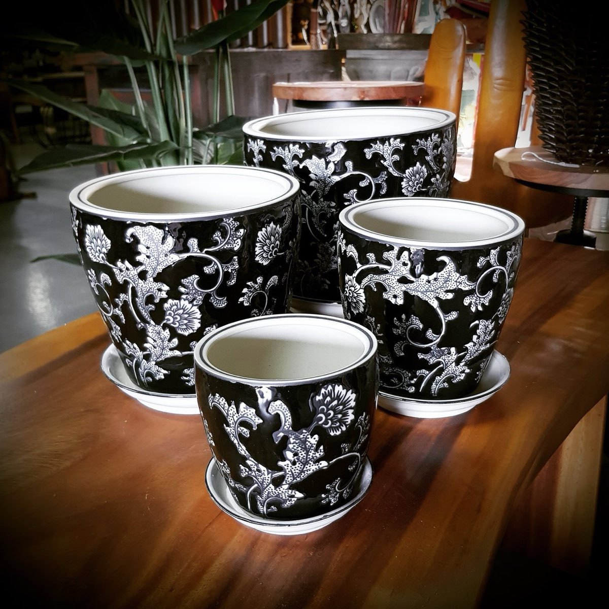 Black and white ceramics in the homewares rooms